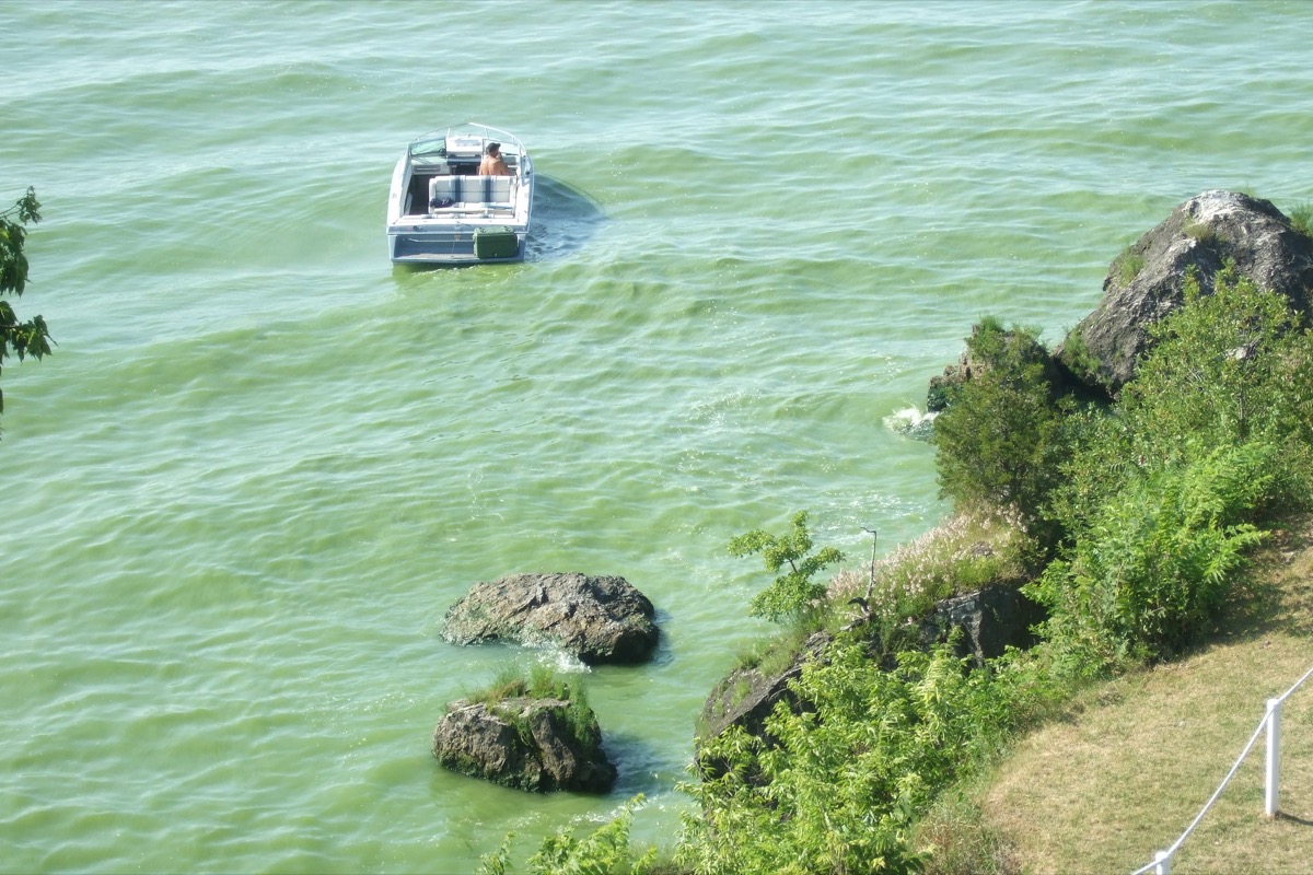 Drinking Water Woes In The Great Lakes - Science Friday