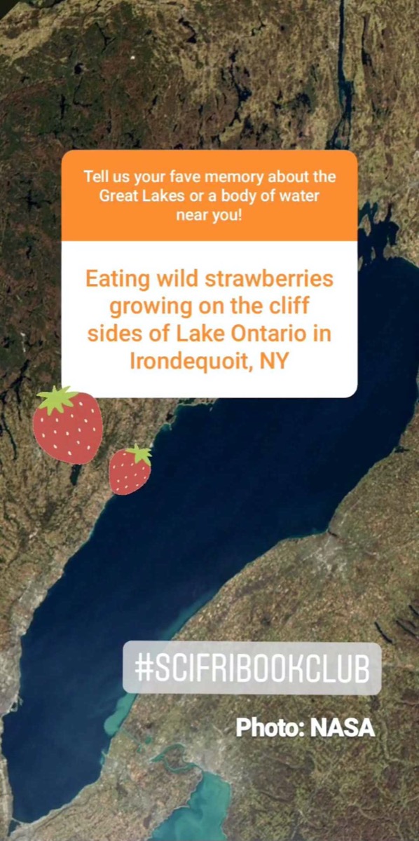 a screenshot of an instagram story of a favorite memory from the great lakes. the comment reads "eating wild strawberries growing on the cliff sides of lake ontario in irondequoit, new york."