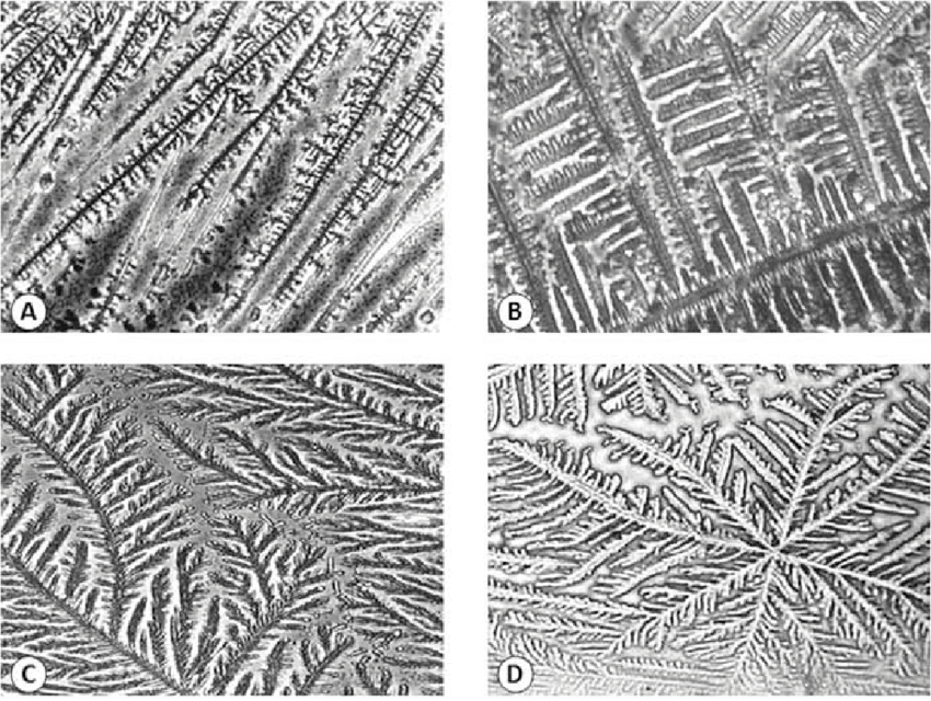 four different images from under a microscope. each show a different crystallization pattern. 