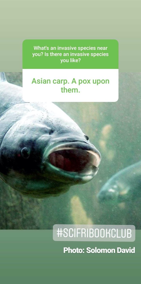 a screenshot of instagram. a picture of a fish is in the background. text reads "asian carp. a pox upon them." 