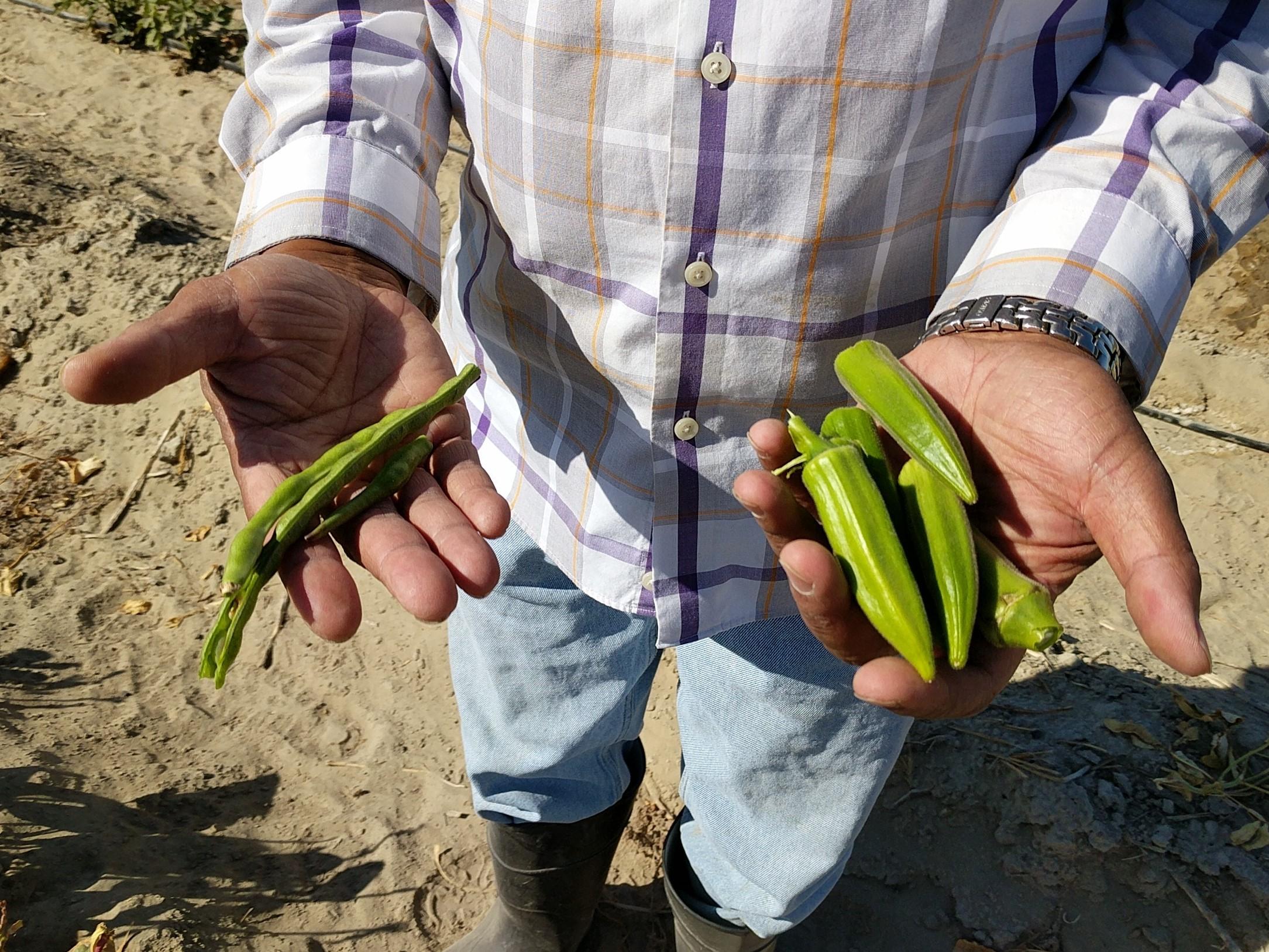 a man holding black eyed peas in his hands