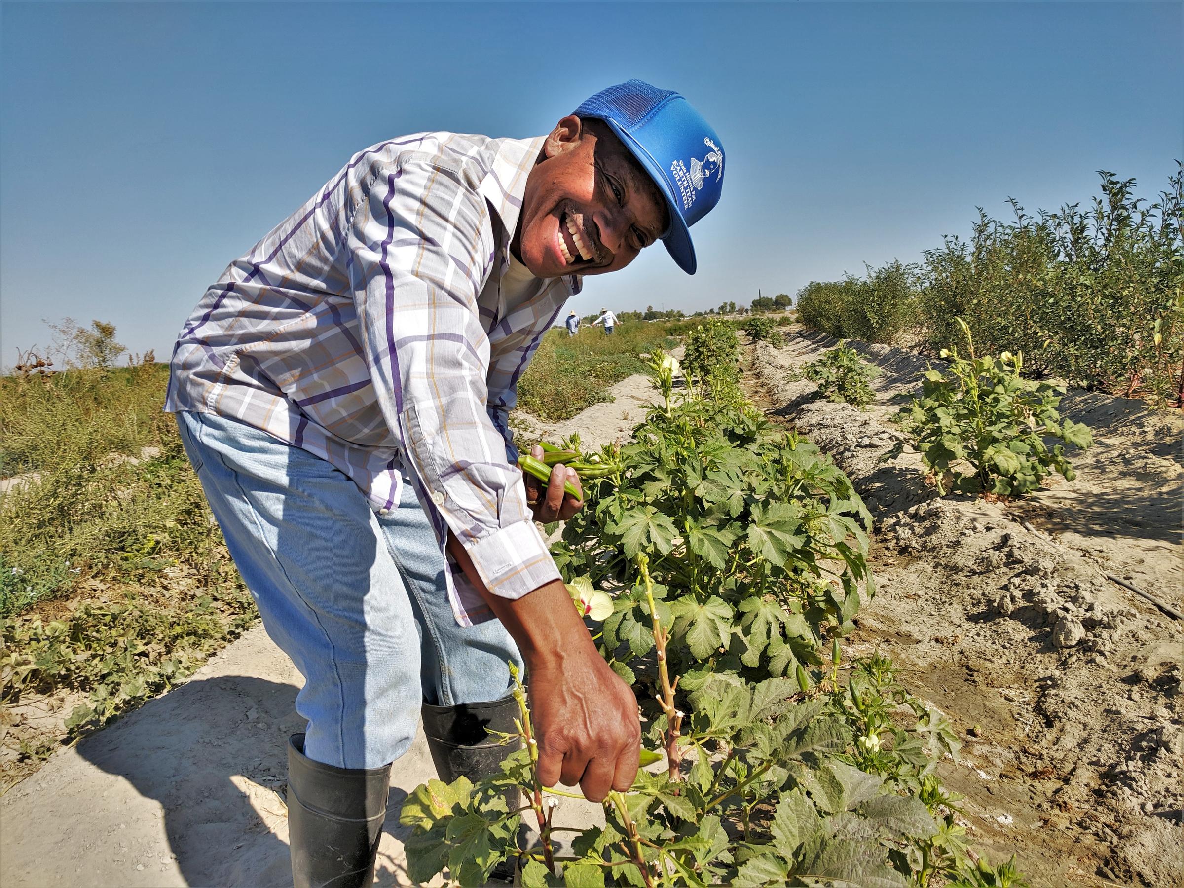 a smiling man picking from a plant