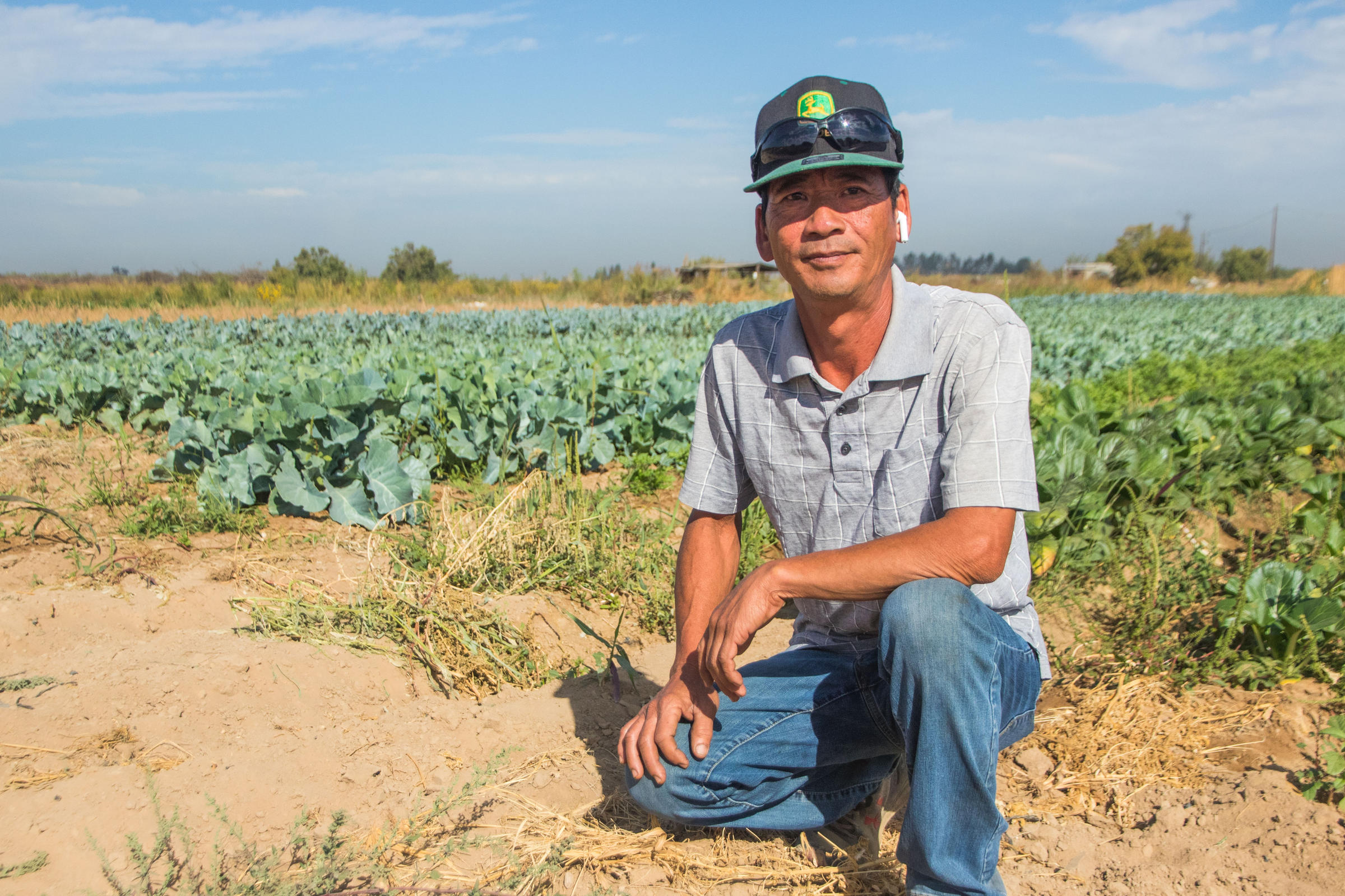 a man kneels in a field of plants