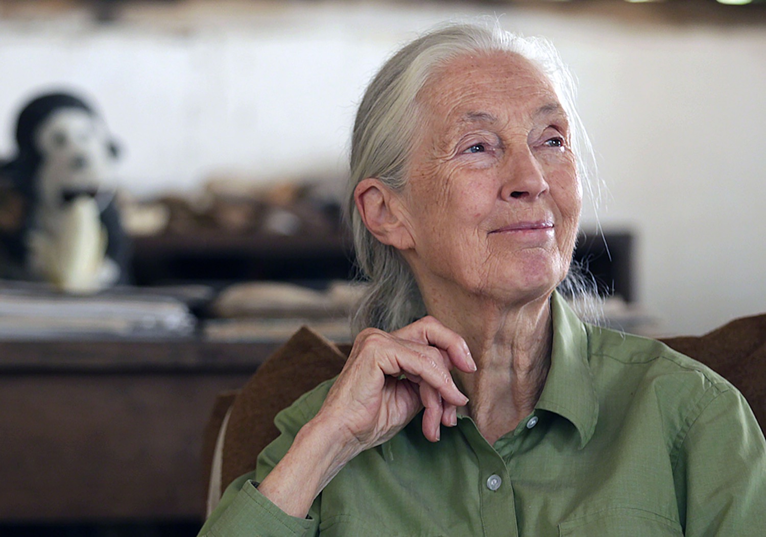 jane goodall stares wistfully into the distance, smiling warmly