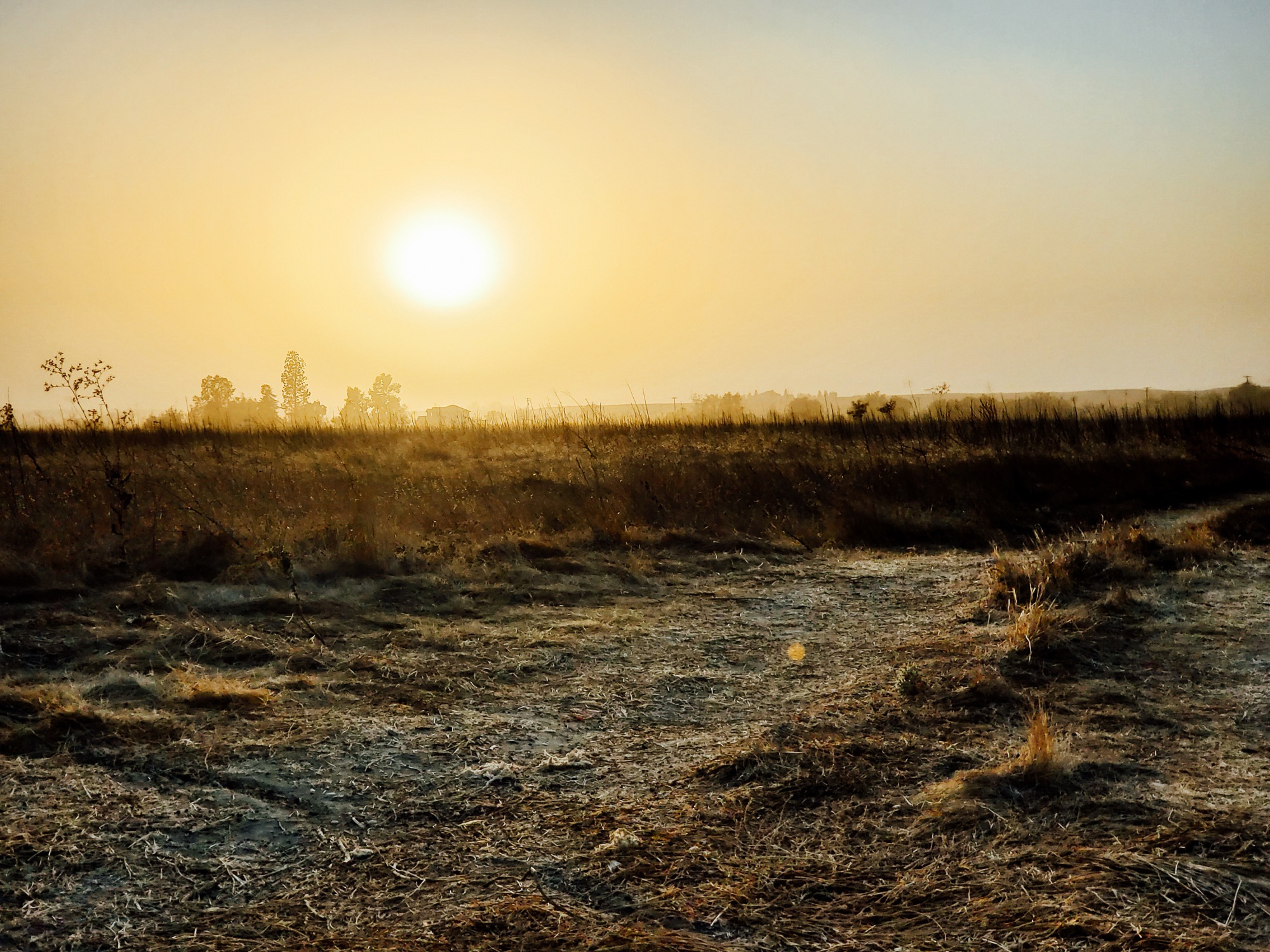 the sun casts an mustard glow over a dusty field. a brown haze hands in the air