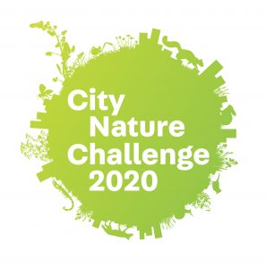 a logo of a green circle with little bits of leaves and nature on the edges. it reads "city nature challenge 2020"