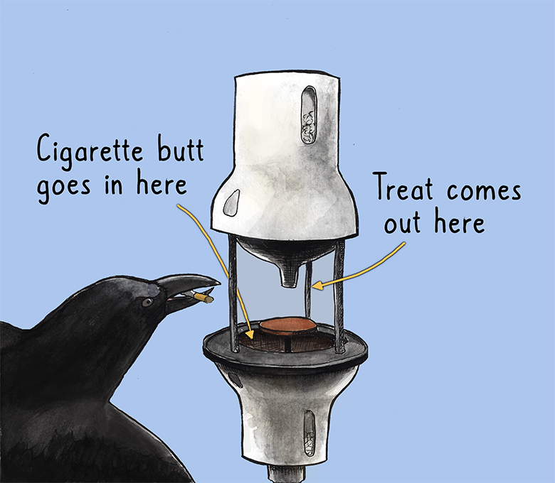 Illustration of the CROWBAR device where a crow puts a cigarette butt into a round device that then dispenses a treat.