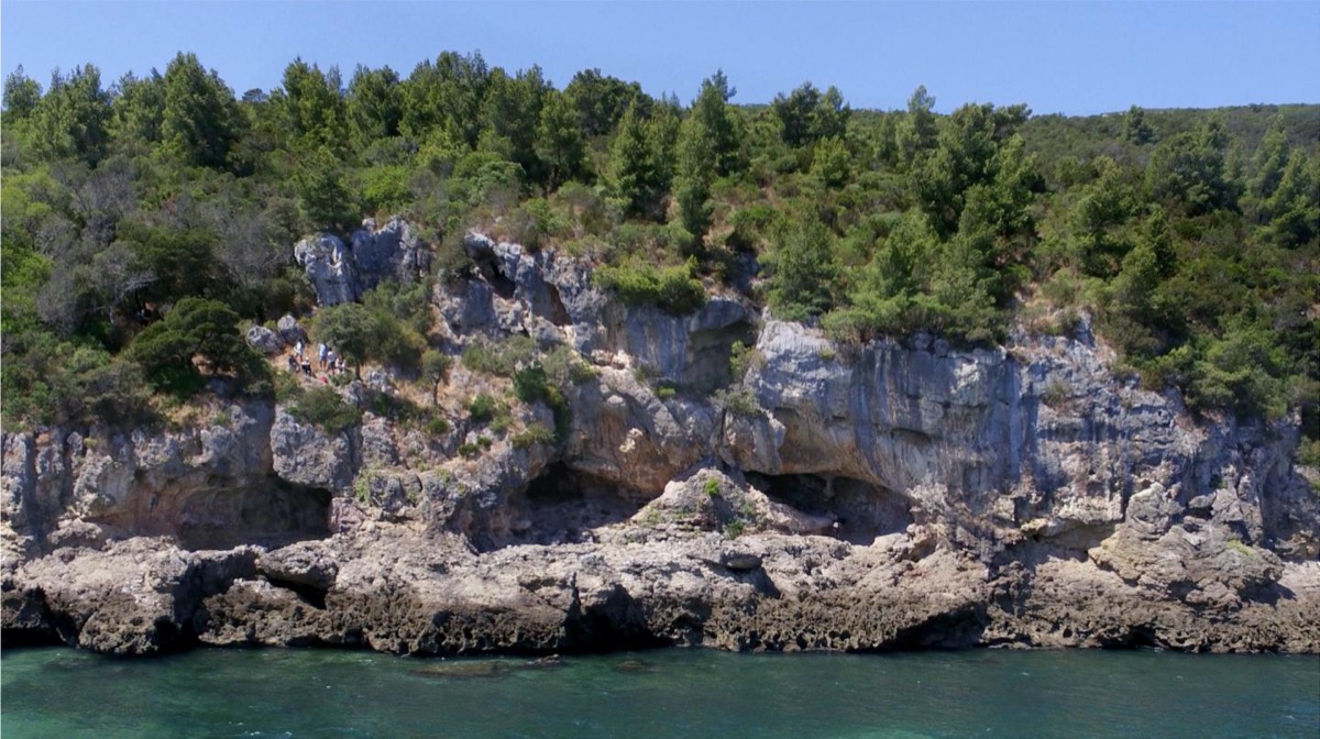 a tree covered cliffside that ends into the ocean. on the side of the cliff you can see three distinct cave entrances