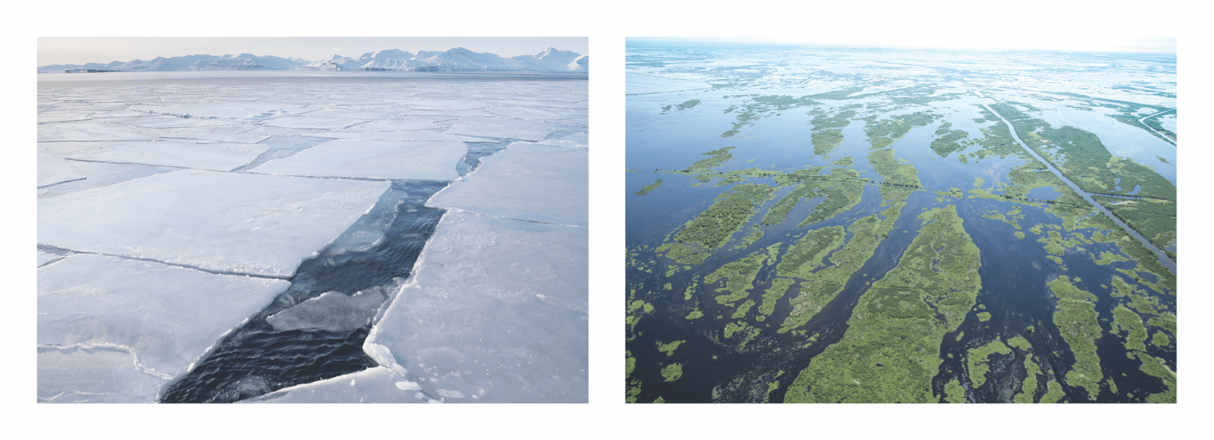 two images, one of giant ice sheets splitting apart and flooded Louisiana wetlands