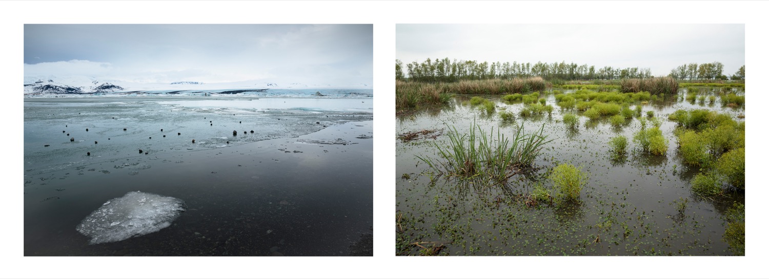 two images, one of giant ice sheets melting and splitting apart and flooded Louisiana wetlands