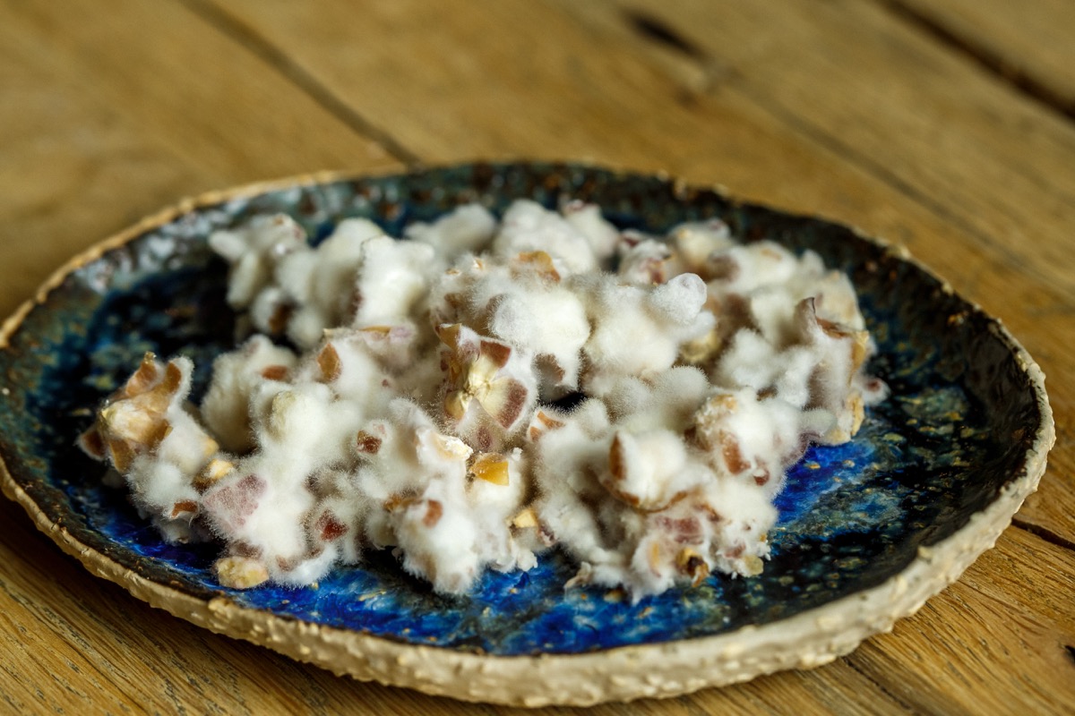 popcorn covered in white fuzzy mold