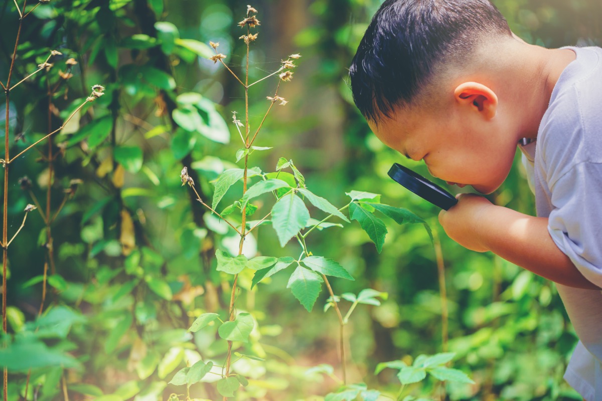 a young asian boy looking through a magnifying glass outside