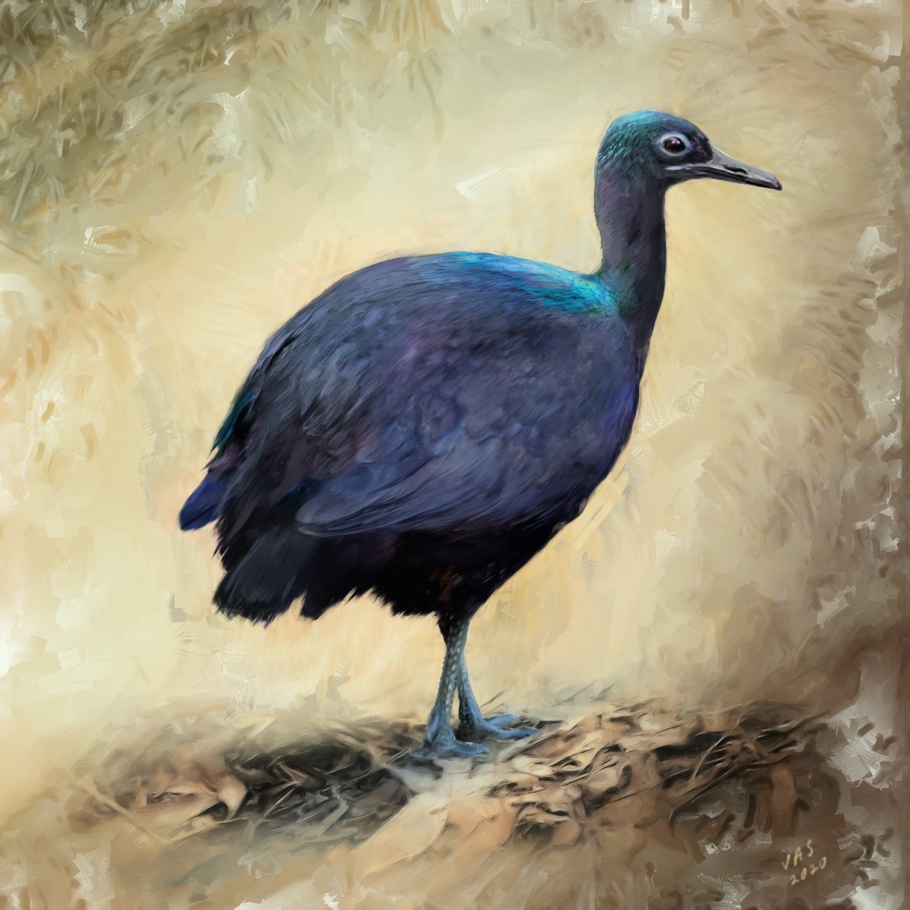 a painting of a colorful bird