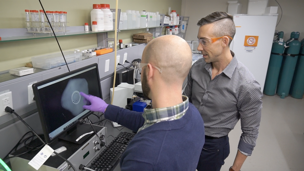 a scientist and a grad student pointing at a computer