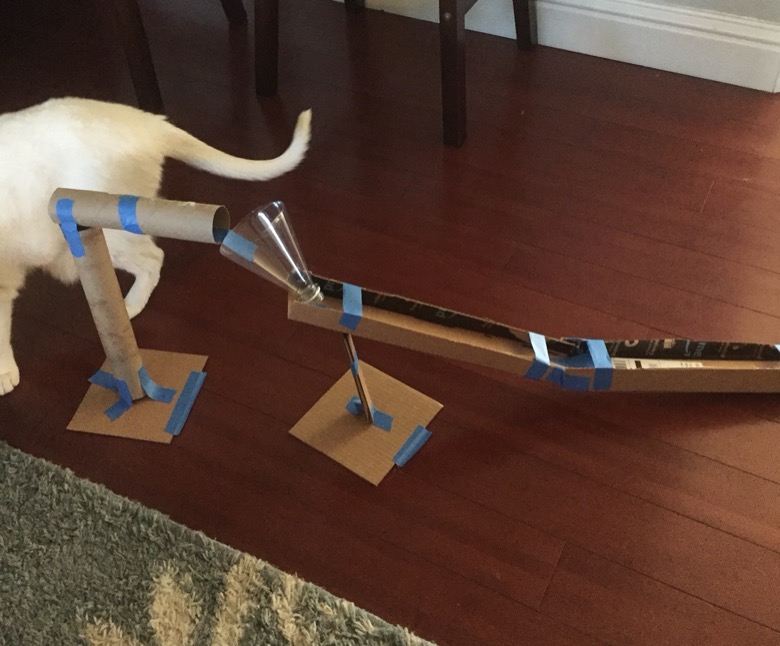 A roller coaster made from tape, cardboard, and other materials assembled on a floor near a dog