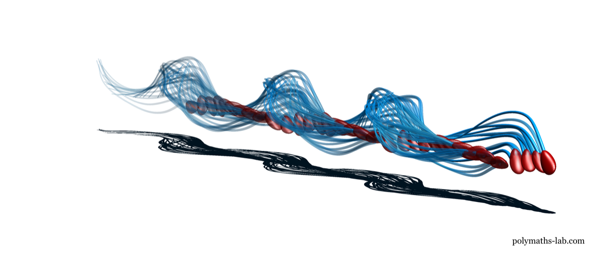 a 3d model of a sperm showing a trail of its corkscrew, spiral movement