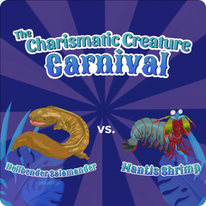 on a purple striped background reminiscent of a striped circus tent seen from above sit two creatures, hellbender salamander and mantis shrimp, with the title "the charismatic creature corner" above them in whimsical, carnival font
