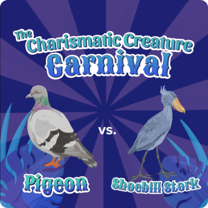 on a purple striped background reminiscent of a striped circus tent seen from above sit two creatures, pigeon and shoebill stork, with the title "the charismatic creature corner" above them in whimsical, carnival font