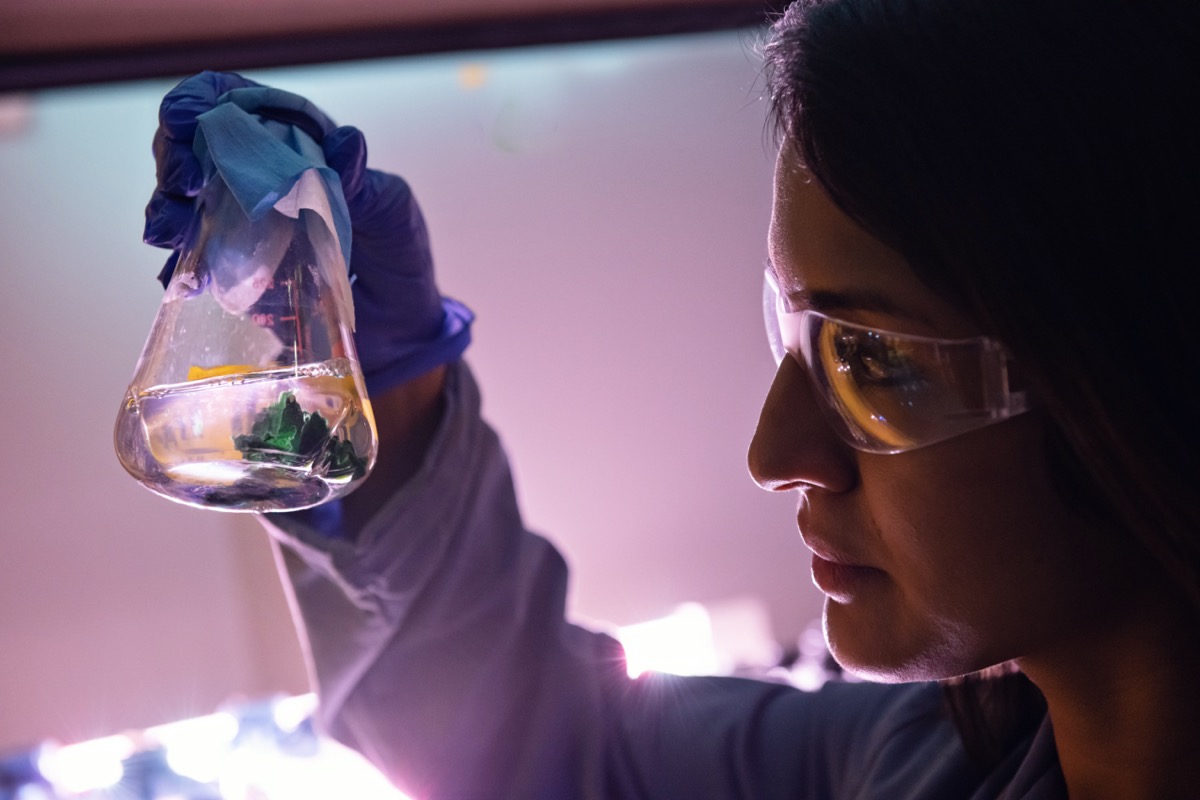 a woman in a lab wearing googles holds up a flask with green growing microbes