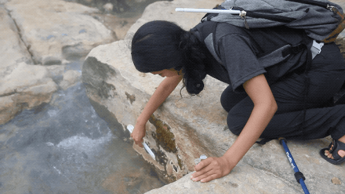 a woman kneels over the ledge of a rock with a babbling steaming river below. she reaches with a plastic tool to scrape off some microorganisms growing on the side of the rock