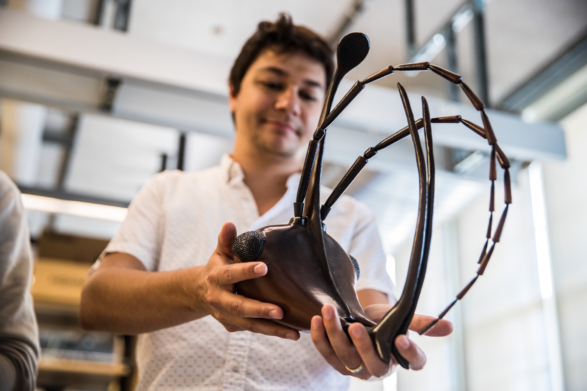 a man holds a model of an ant head