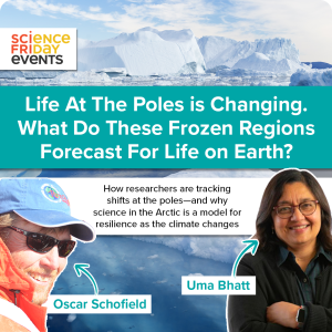 Event promotion image. On top of a polar sea image, text reads: "Science Friday Events, Life At The Poles is Changing. What Do These Frozen Regions Forecast For Life on Earth? How researchers are tracking shifts at the poles—and why science in the Arctic is a model for resilience as the climate changes" with photos and labels for two guest experts: Uma Bhatt and Oscar Schofield