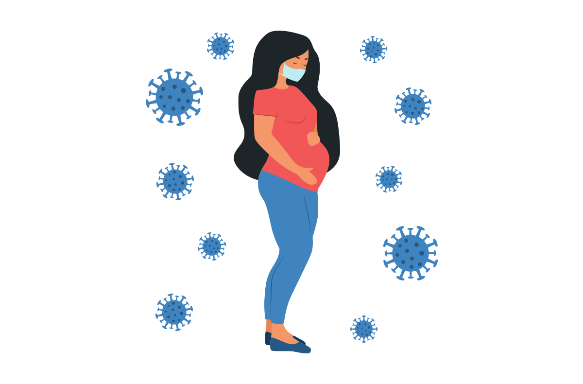 Early pregnancy explained: An illustrated guide : Shots - Health News : NPR