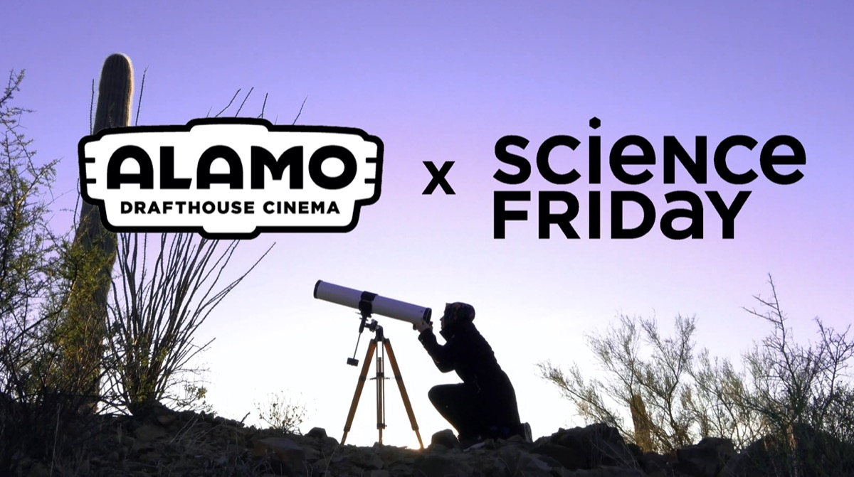 a purple poster of a woman looking through a telescope outside, with the logo of "alamo drafthouse" and "science friday" above her