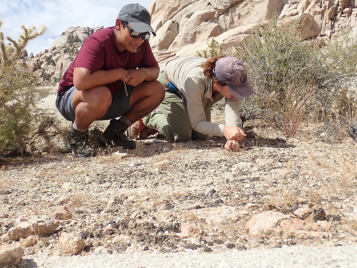 two people kneel closely to the ground in the desert