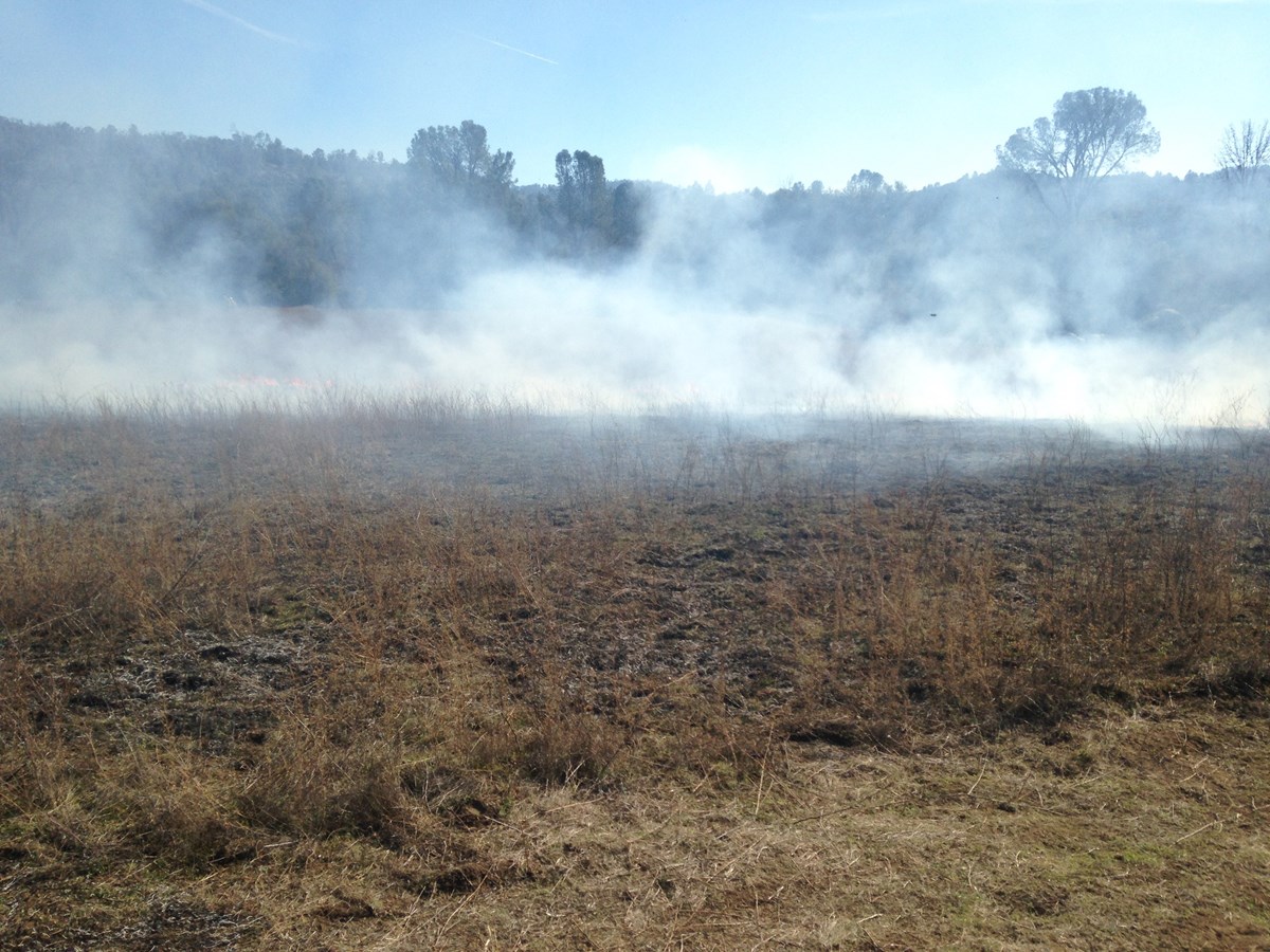 a pasture burning