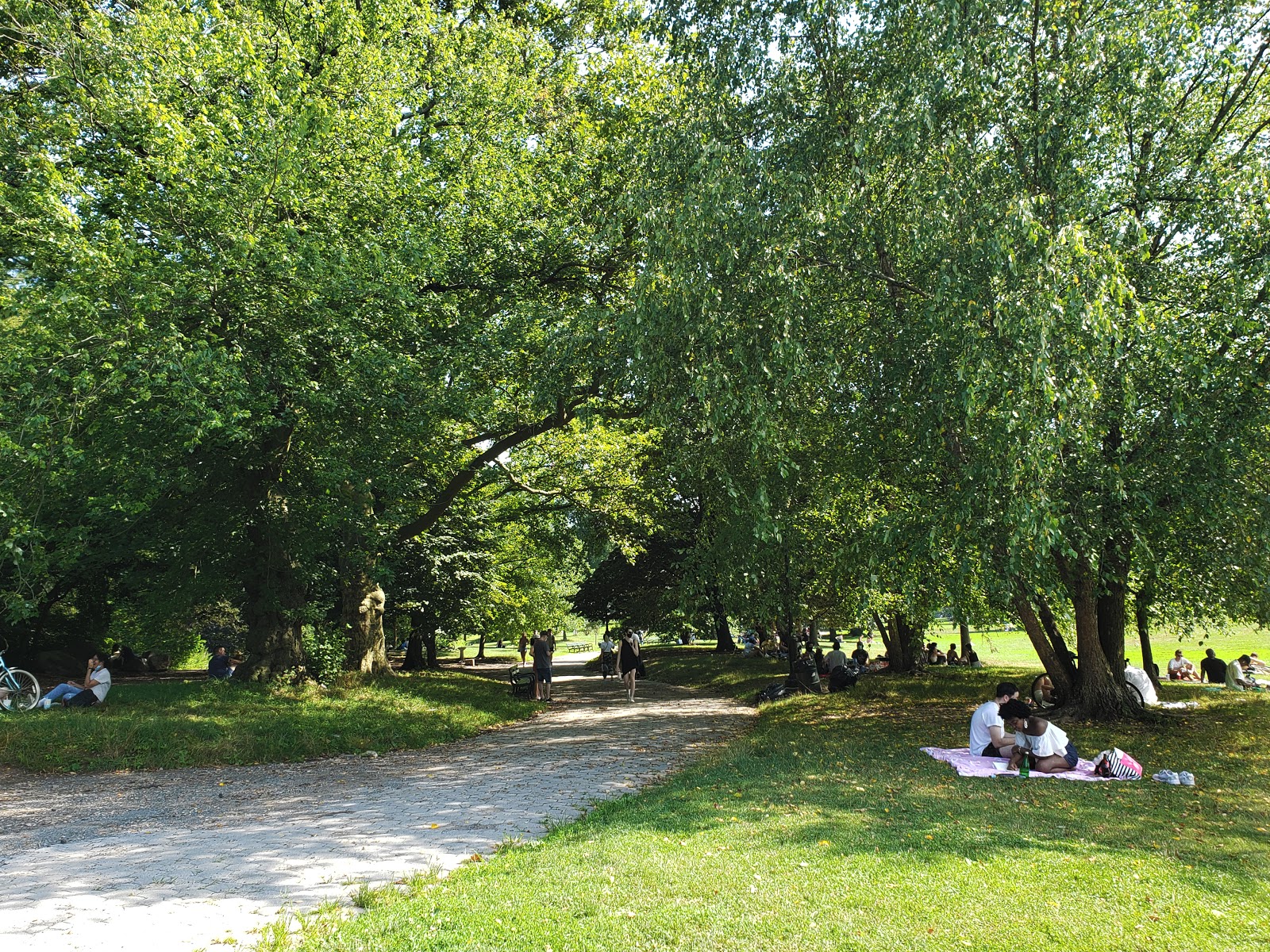 a pathway going through the park