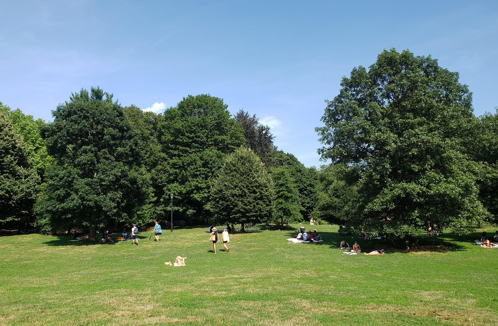 a green open space with trees and people on blankets