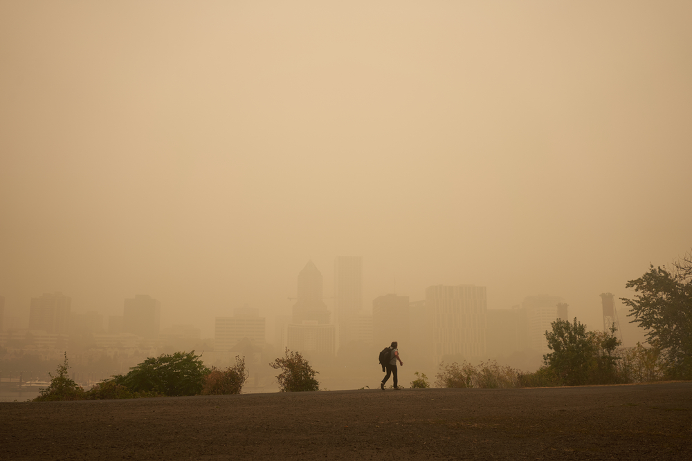 a lone person walks, with smoke and haze shrouded city behind them