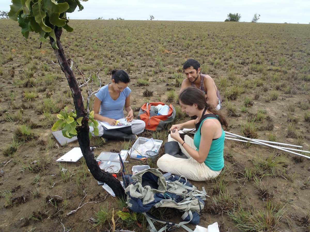 three researchers sit out in a field with paper work and equipment to tag birds