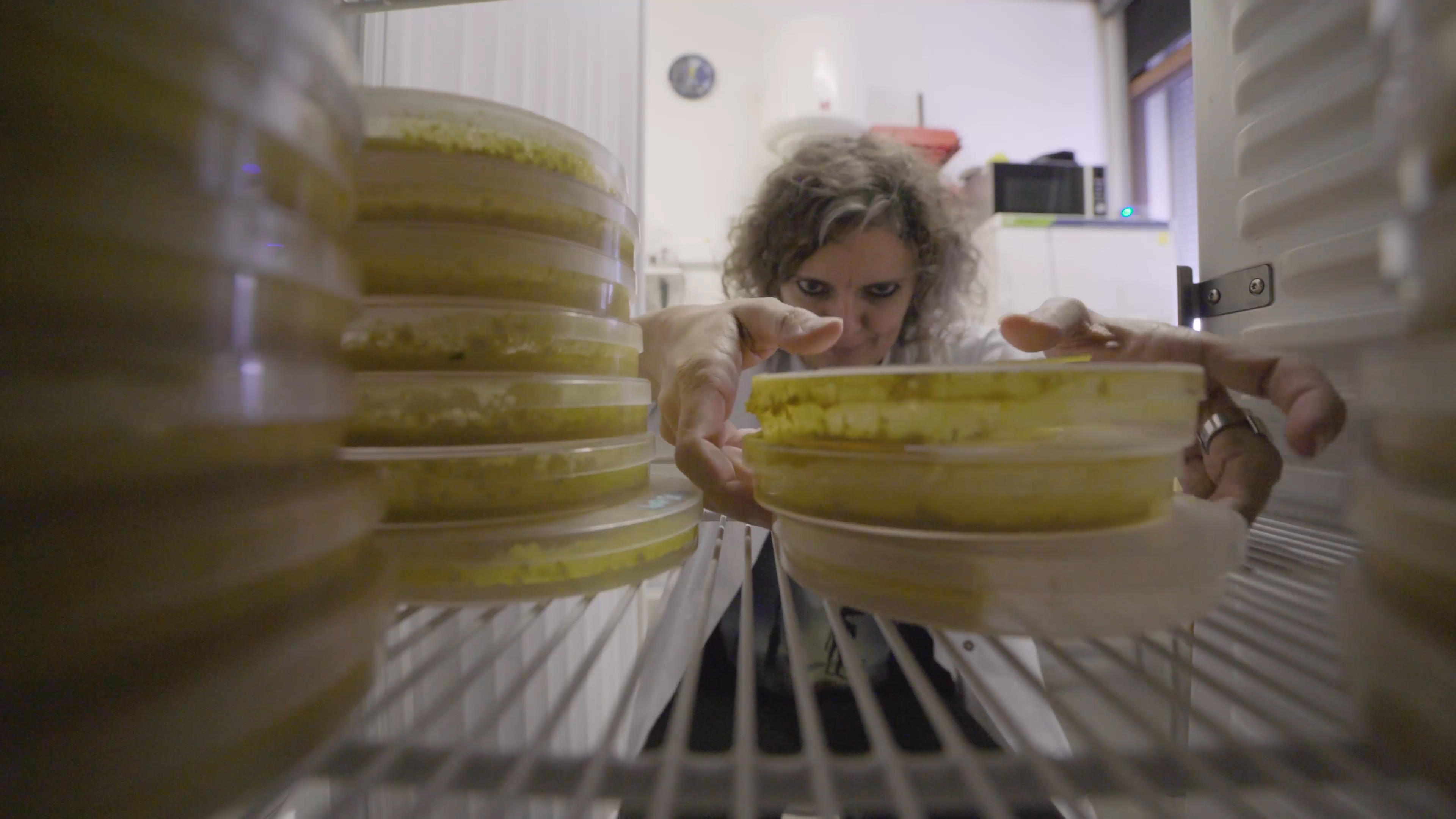 Breakthrough: The Slime Minder