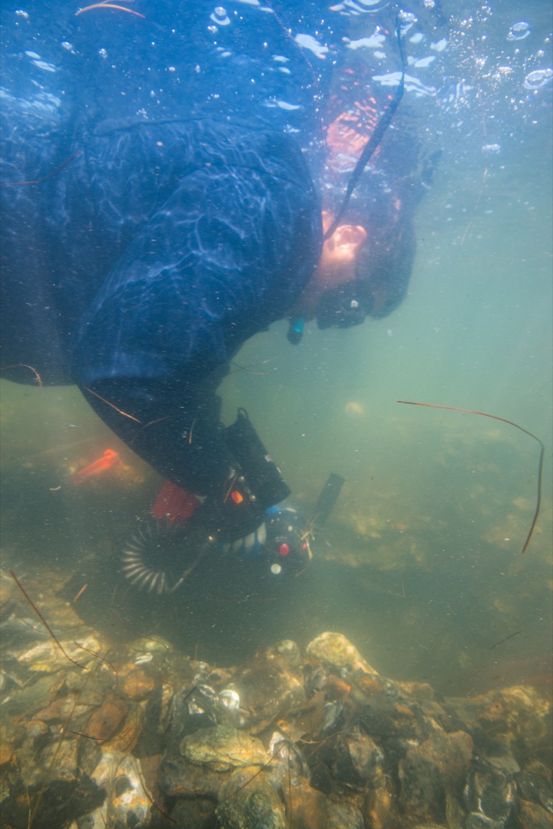 a scientist using a drill underwater on a shipwreck