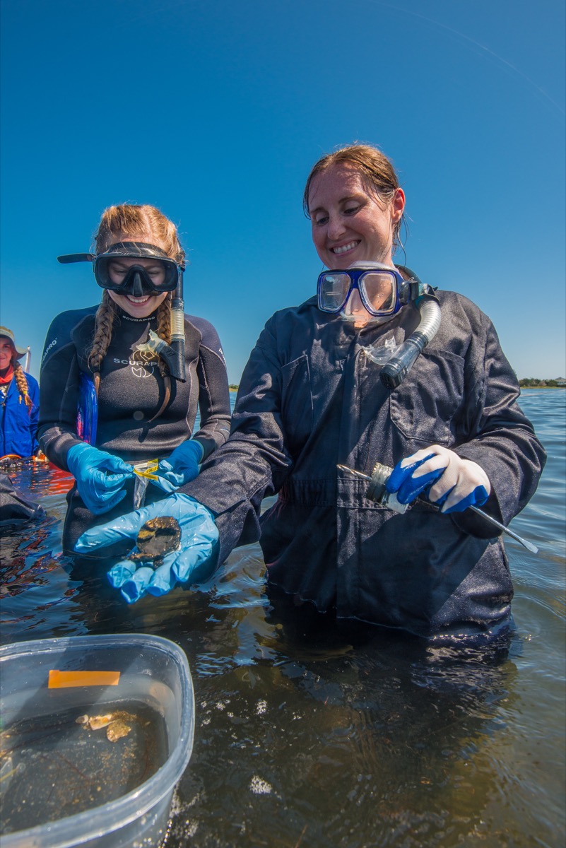 two women scientists in wet suits and gloves in a lagoon handling samples from a shipwreck