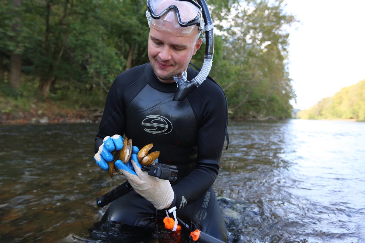 a man in scuba gear in a river holding a pile of mussels