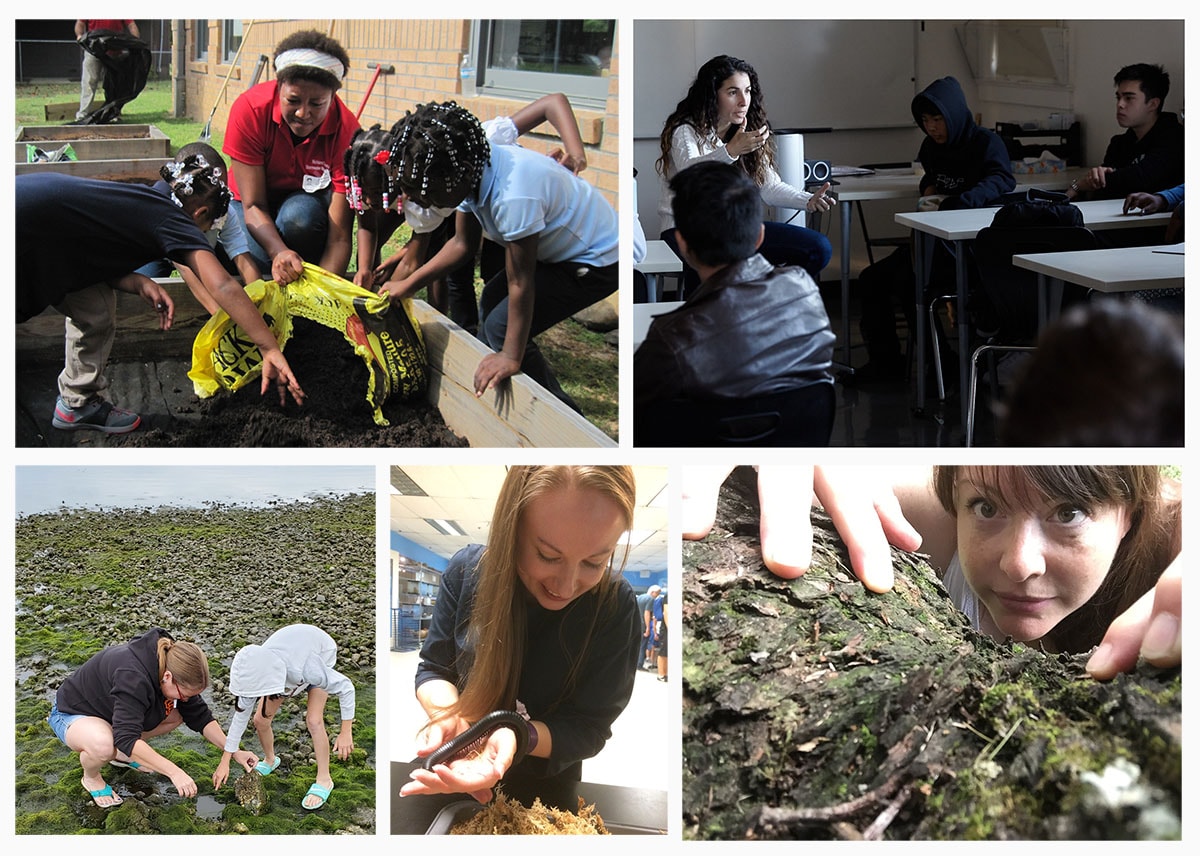 a collage of photos of teachers in classrooms