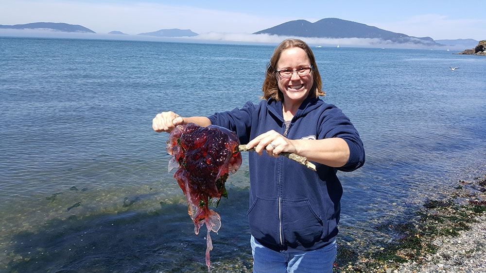 Hillary Gutierrez holding a jelly found on a rocky beach.