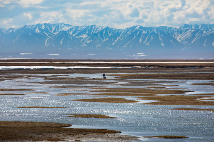 a coastal plain with snowcapped mountains in the background.