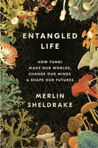 a book cover that reads "Entangled Life: How Fungi Make Our Worlds, Change Our Minds & Shape Our Futures." the book cover is black and around it is a border of colorful illustrations of fungi—various species of different shapes and colors