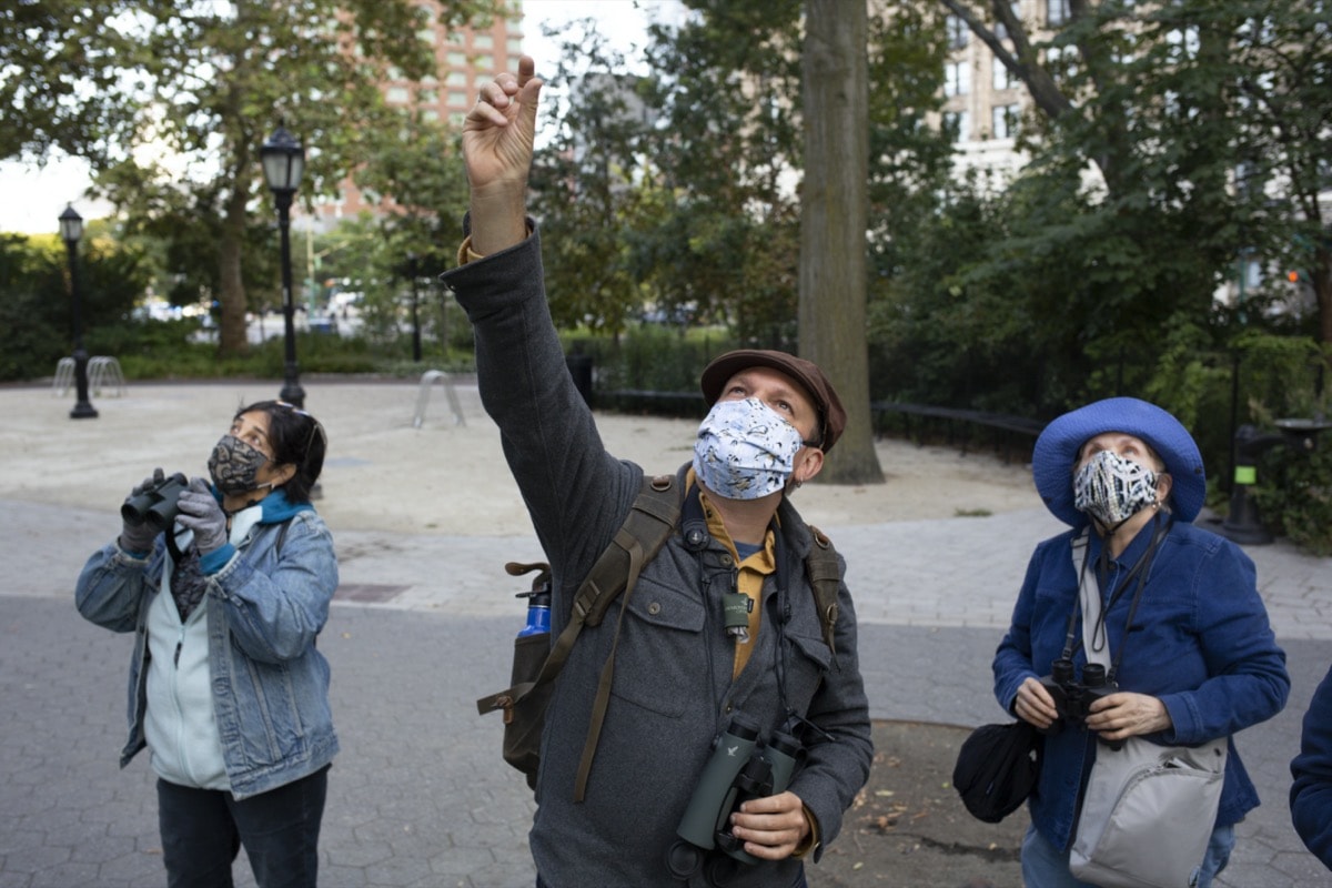 a man in a newspaper boy cap and wearing a facemask points up at birds. next to him are two women with face masks also looking up at birds through binoculars