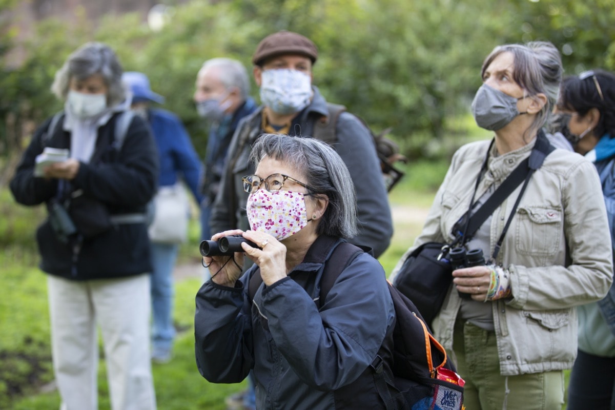 a woman with pepper hair and glasses and wearing a face mask, crouches a little as she looks through binoculars at birds in a park. behind her are a group of fellow birders holding binoculars and wearing face masks