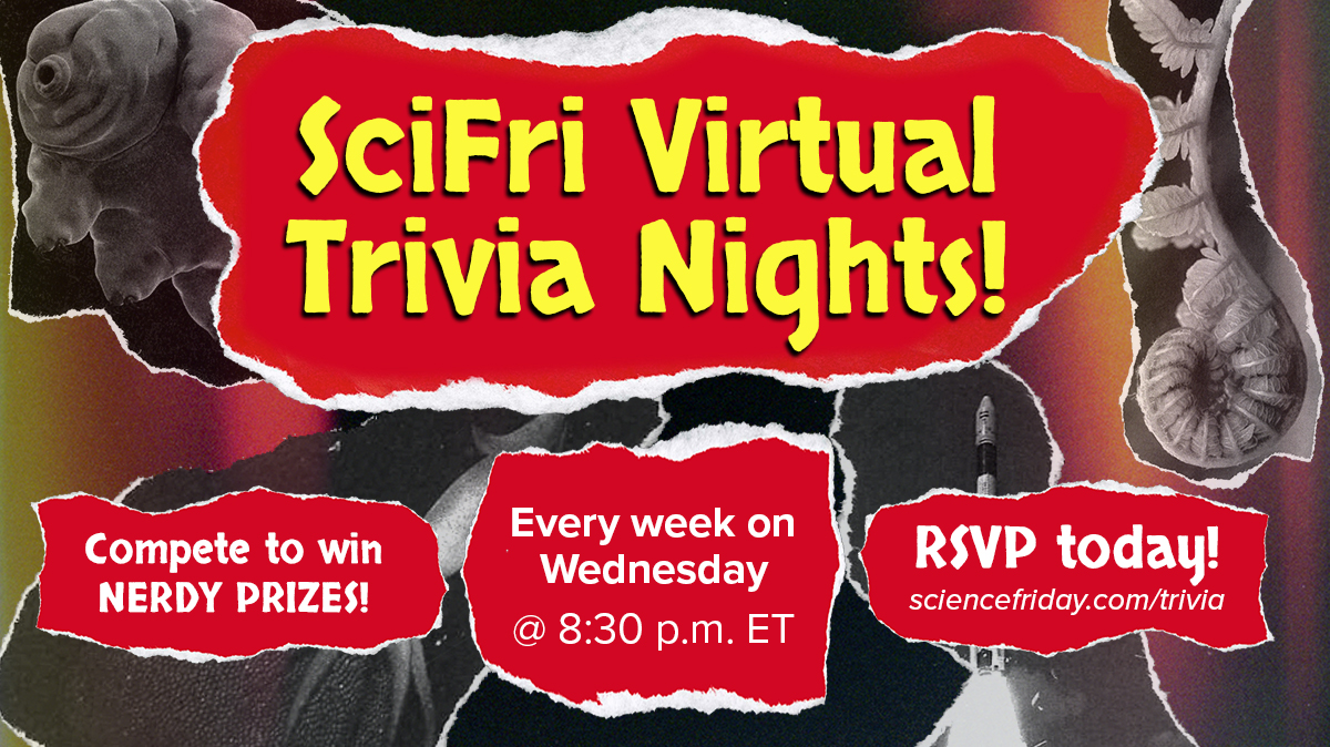 collage style poster that says 'scifri virtual trivia nights, every week on Wednesday at 8:30pm ET' with multicolored texture in the background and torn paper images of a plant, tardigrade, rocket launching, and squid