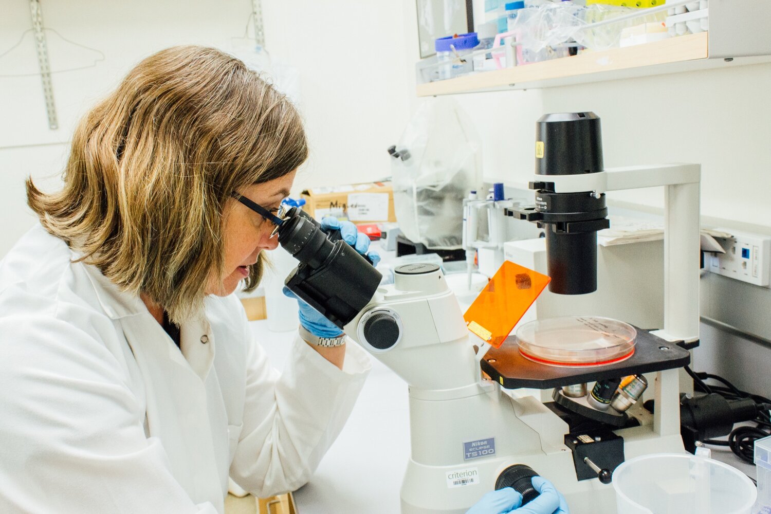 a woman in a lab coat and gloves looks through a microscope in a lab