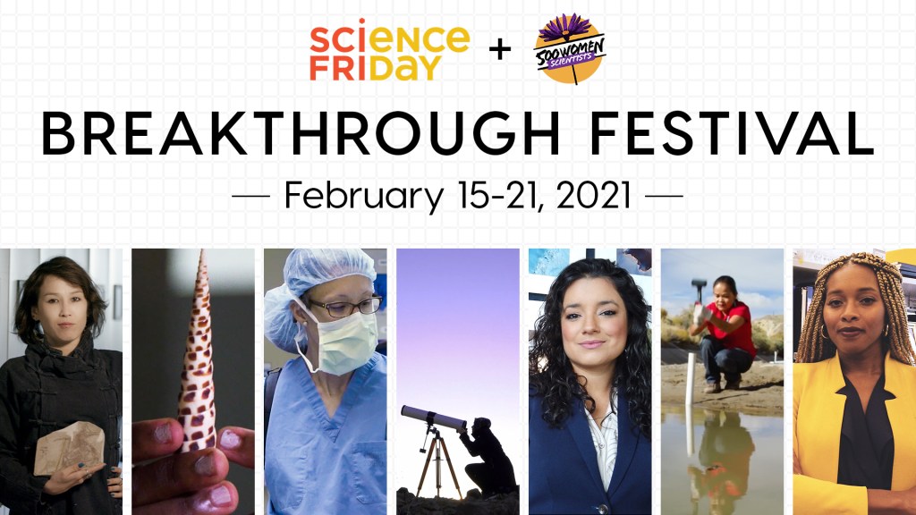 event flyer which displays logos for Science Friday and 500 Women Scientists; below reads "Breakthrough Festival, February 15-21, 2021", with seven images at the bottom featuring women in various scientific settings; leftmost, a women holding a dinosaur fossil; fingers holding up a cone snail shell; a women wearing PPE and looking to her left; a women looking through a telescope below a purple sky; a woman smiling in front of aerial images of the Earth; a women hammering a PVC pile into the ground with a mallet; and a women in a lab smiling and crossing her arms.