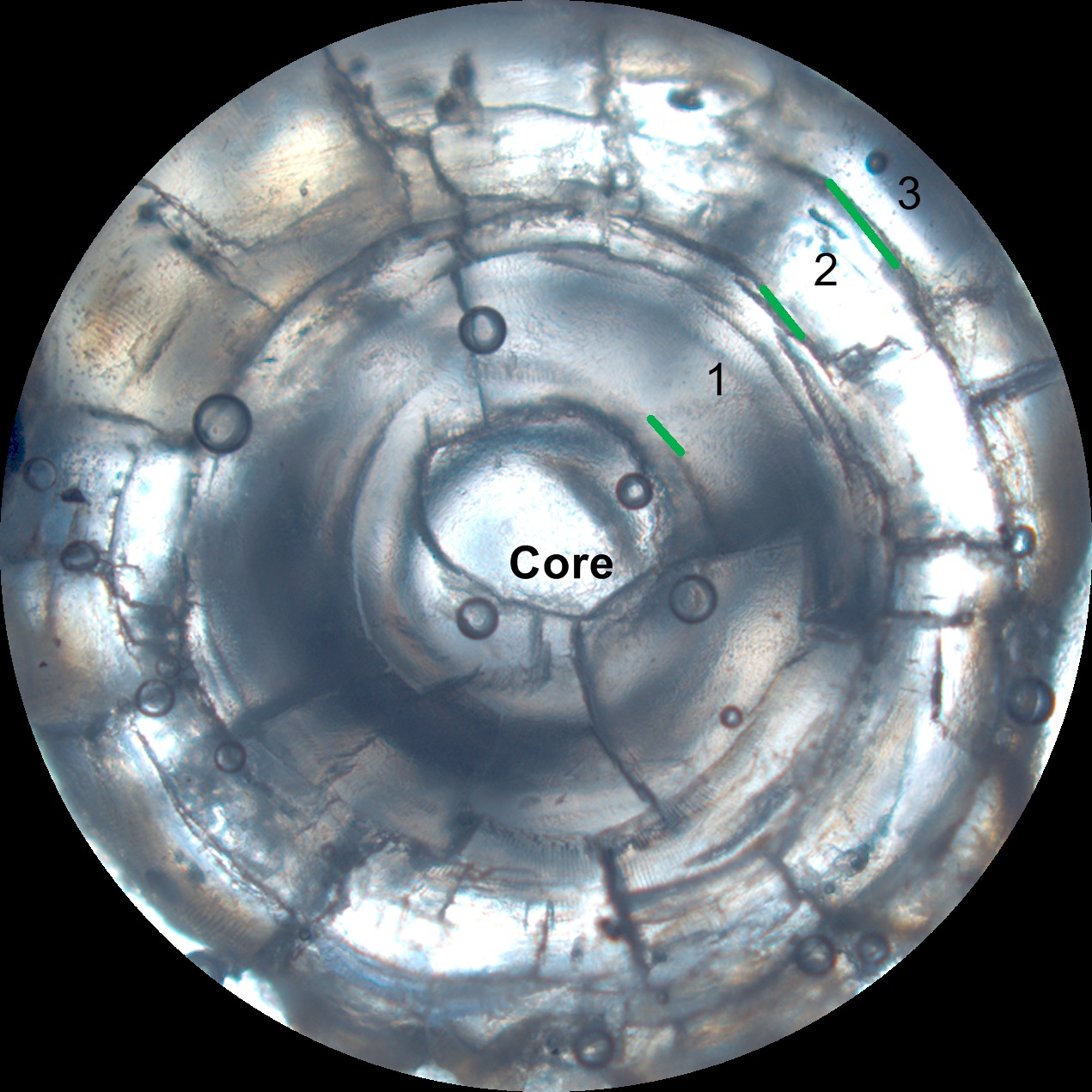 a circle that is slightly opaque and has cracks, lines, and small little bubbles. in the middle is the word "core"