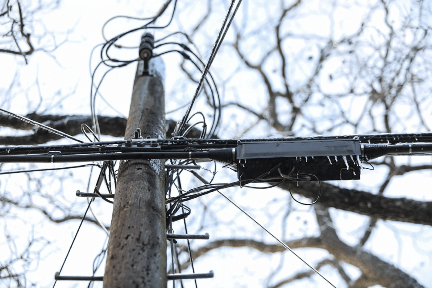 looking up at ice-covered power lines with bare trees in the background