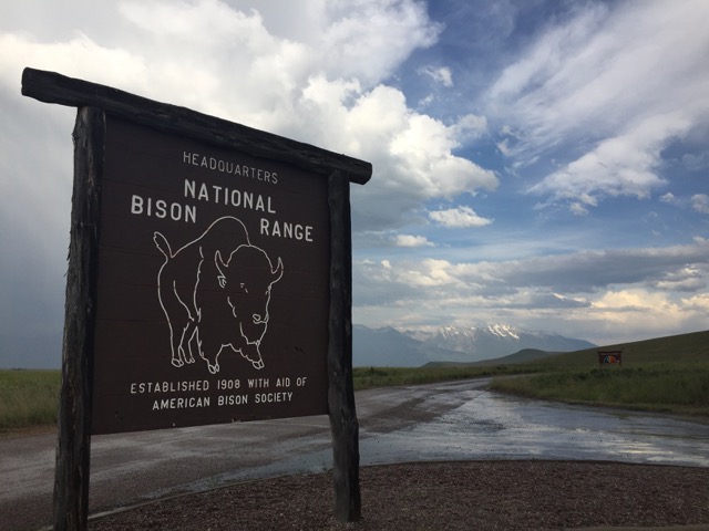 a wooden sign that reads national bison range with an outline illustration of a bison. the sign is in the middle of a mountainous landscape